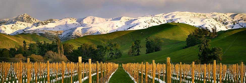 Marlborough Vintners Accommodation Blenheim Buitenkant foto