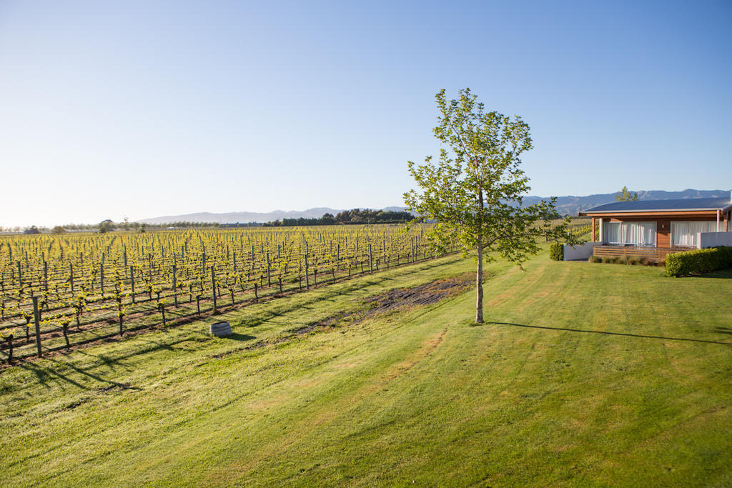 Marlborough Vintners Accommodation Blenheim Buitenkant foto