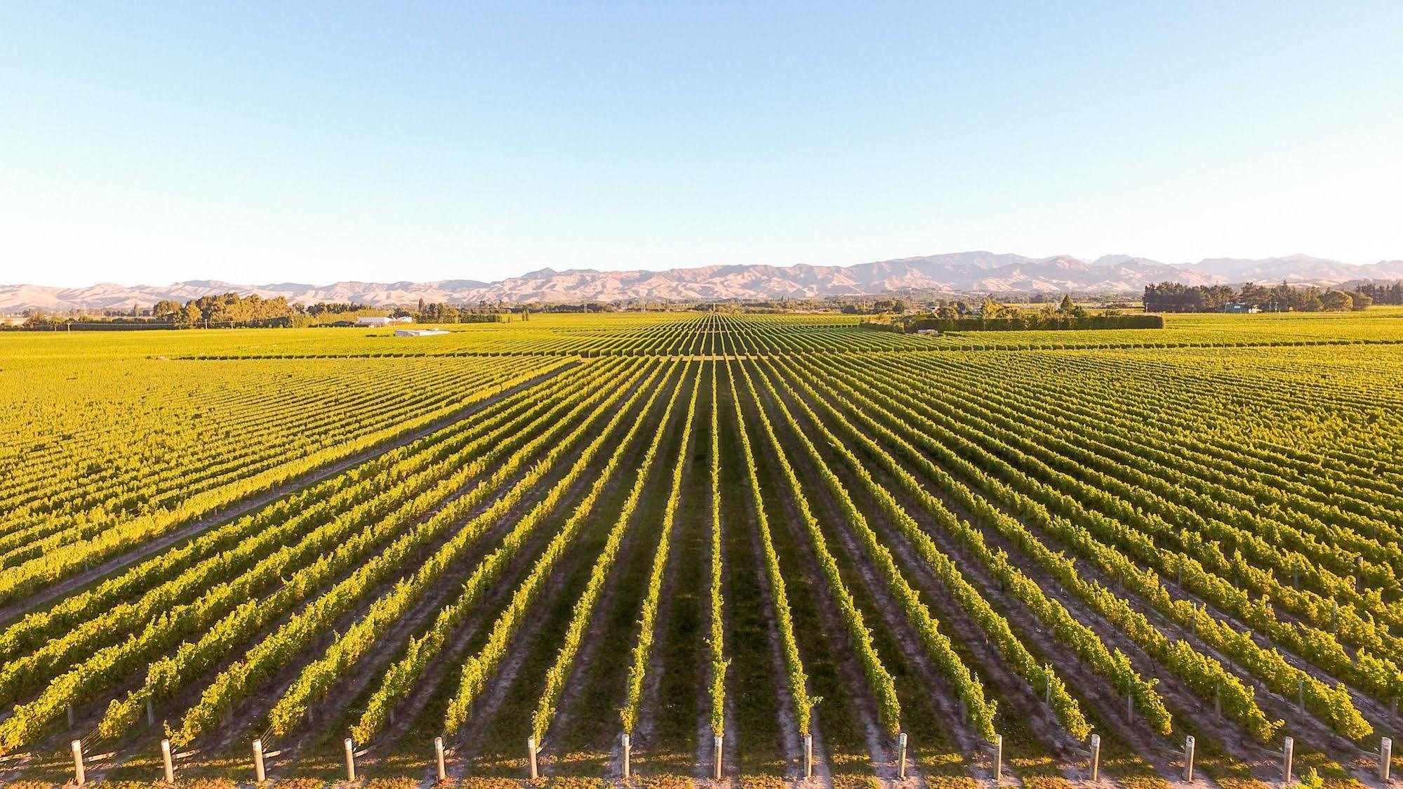 Marlborough Vintners Accommodation Blenheim Buitenkant foto