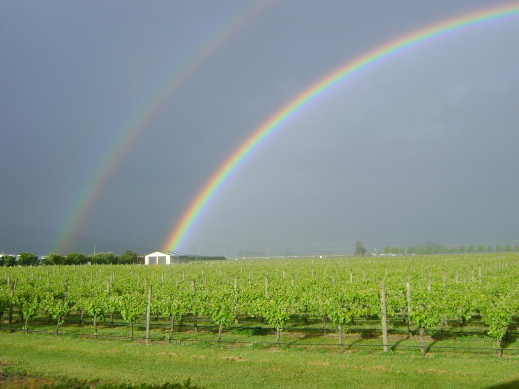 Marlborough Vintners Accommodation Blenheim Buitenkant foto