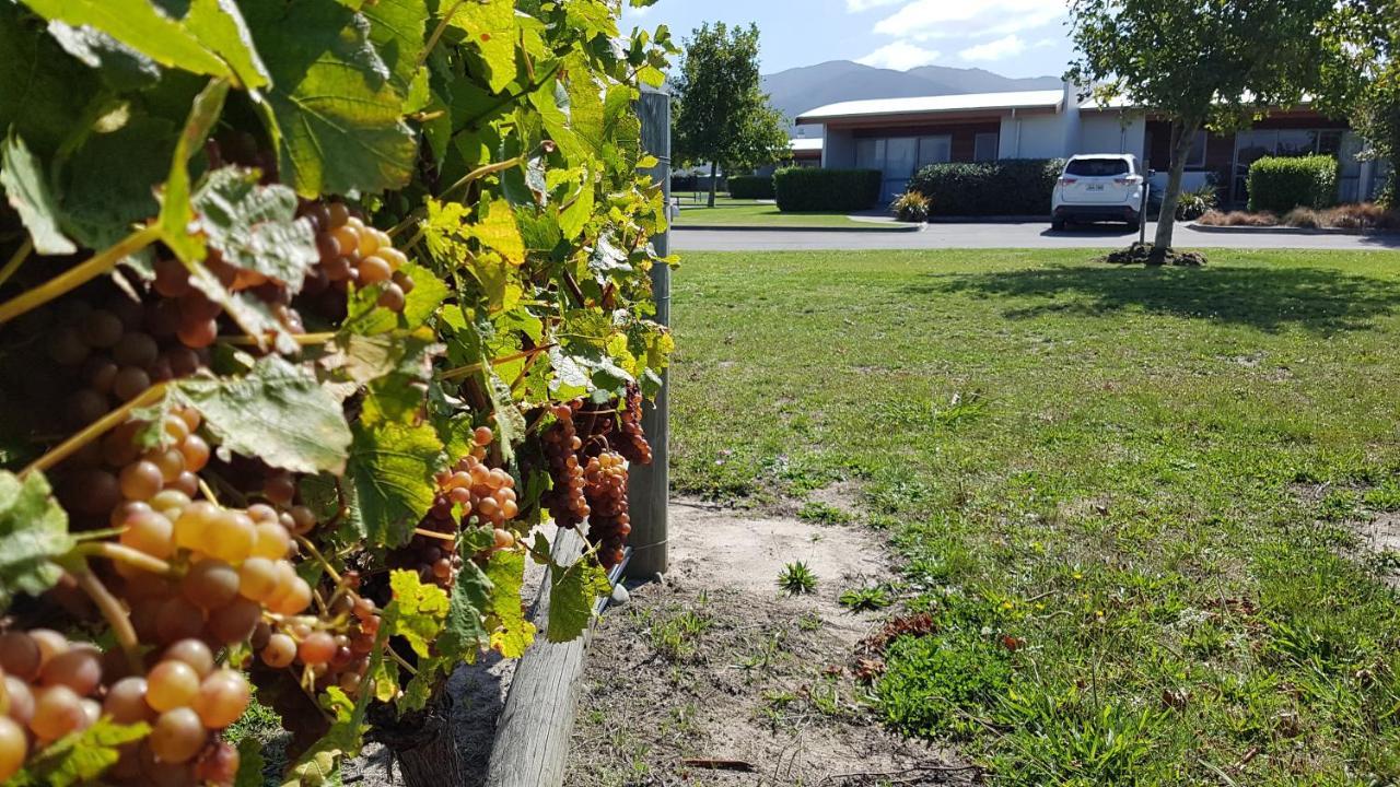 Marlborough Vintners Accommodation Blenheim Buitenkant foto